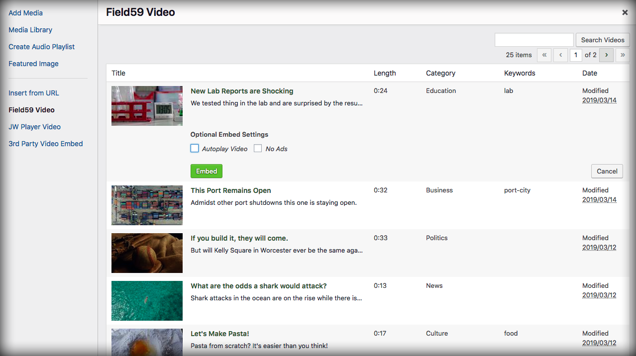 Seamless video integration